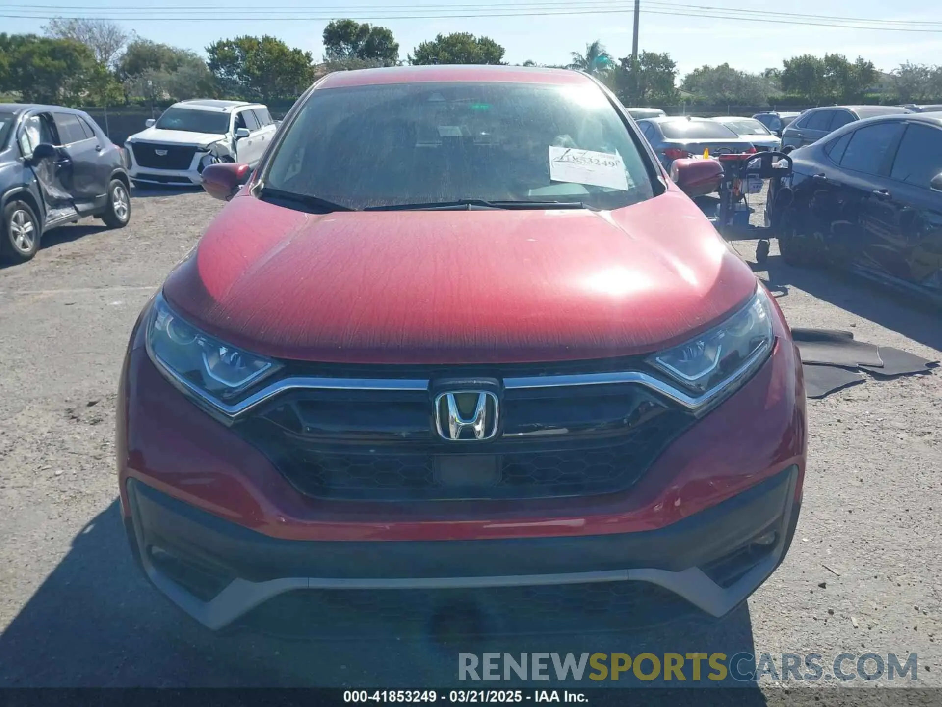 12 Photograph of a damaged car 7FARW1H53NE024446 HONDA CR-V 2022