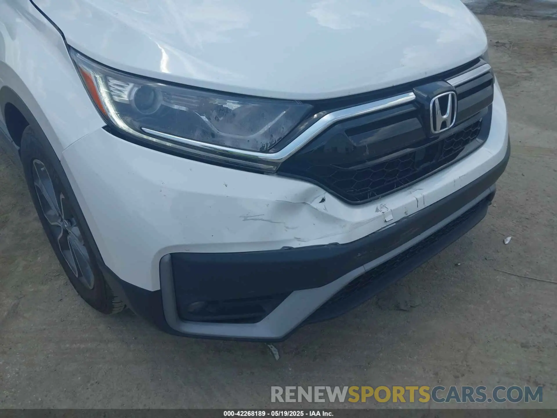 6 Photograph of a damaged car 7FARW1H54NE022897 HONDA CR-V 2022