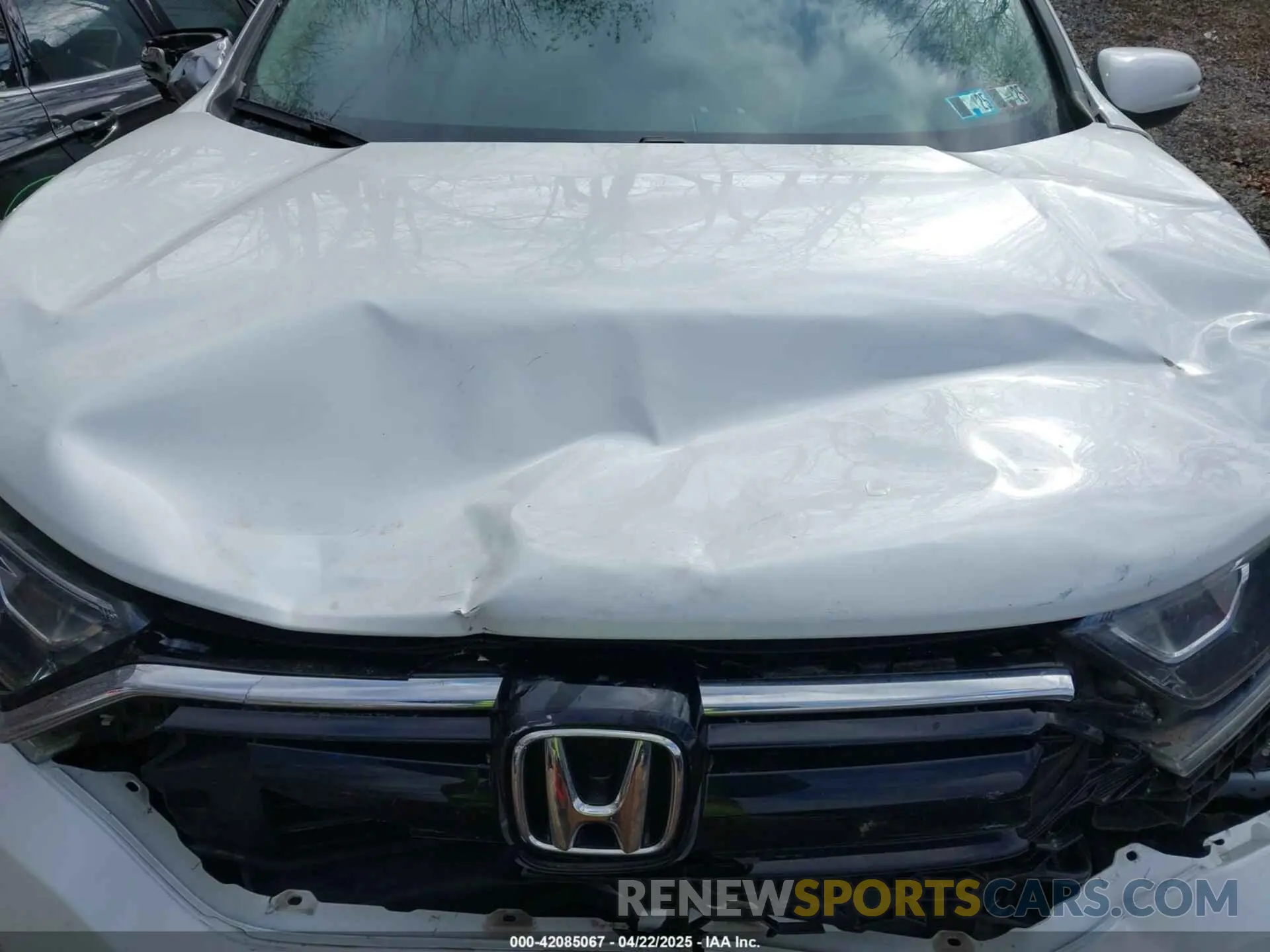 10 Photograph of a damaged car 7FARW2H50NE051609 HONDA CR-V 2022