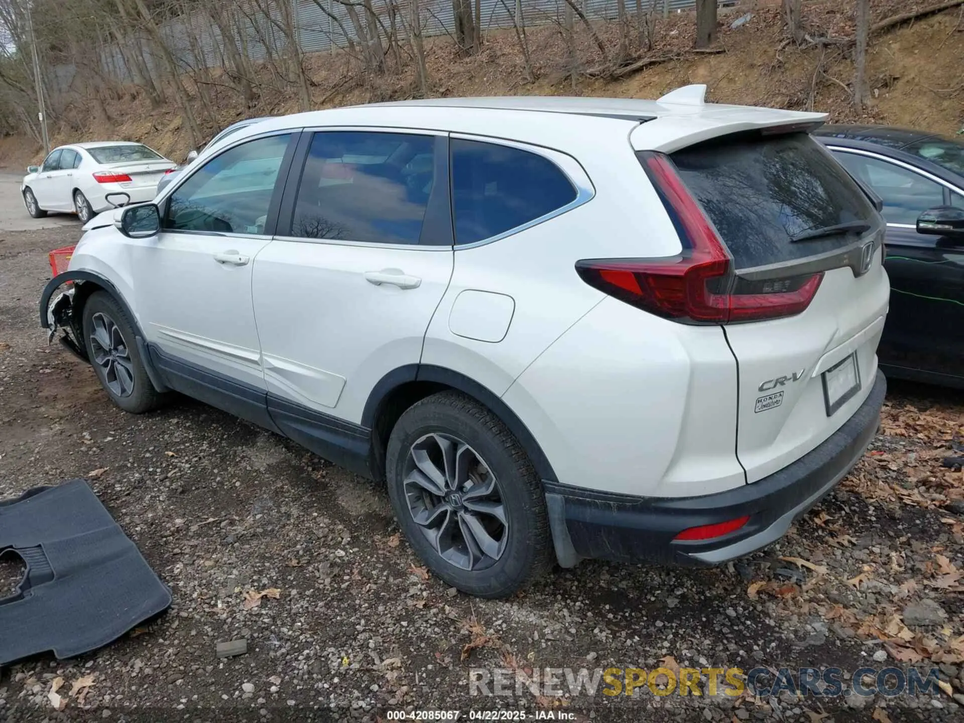 3 Photograph of a damaged car 7FARW2H50NE051609 HONDA CR-V 2022