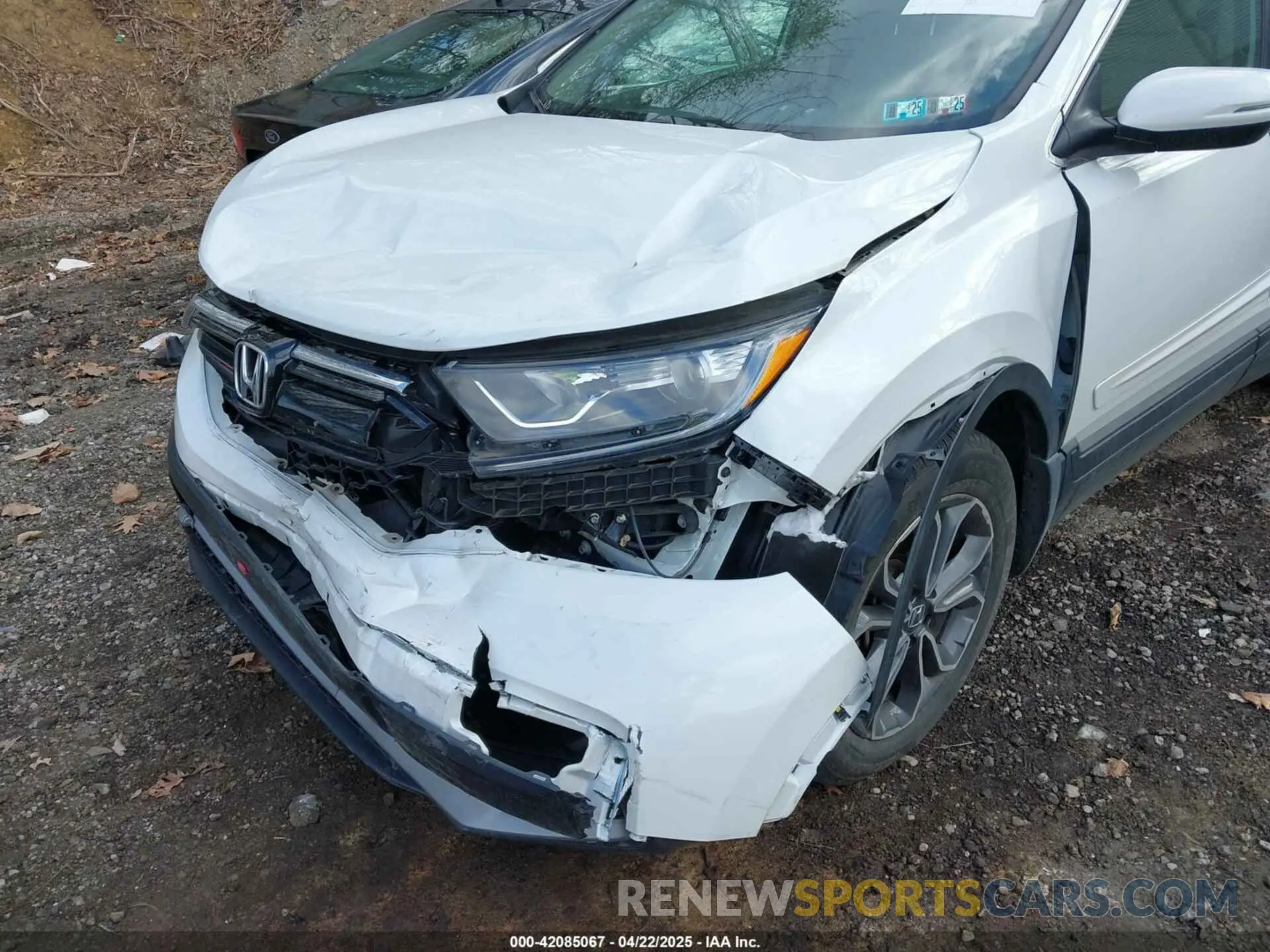 6 Photograph of a damaged car 7FARW2H50NE051609 HONDA CR-V 2022
