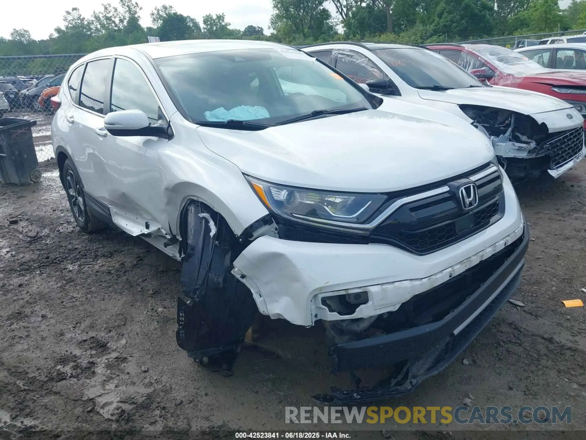 6 Photograph of a damaged car 7FARW2H51NE040148 HONDA CR-V 2022