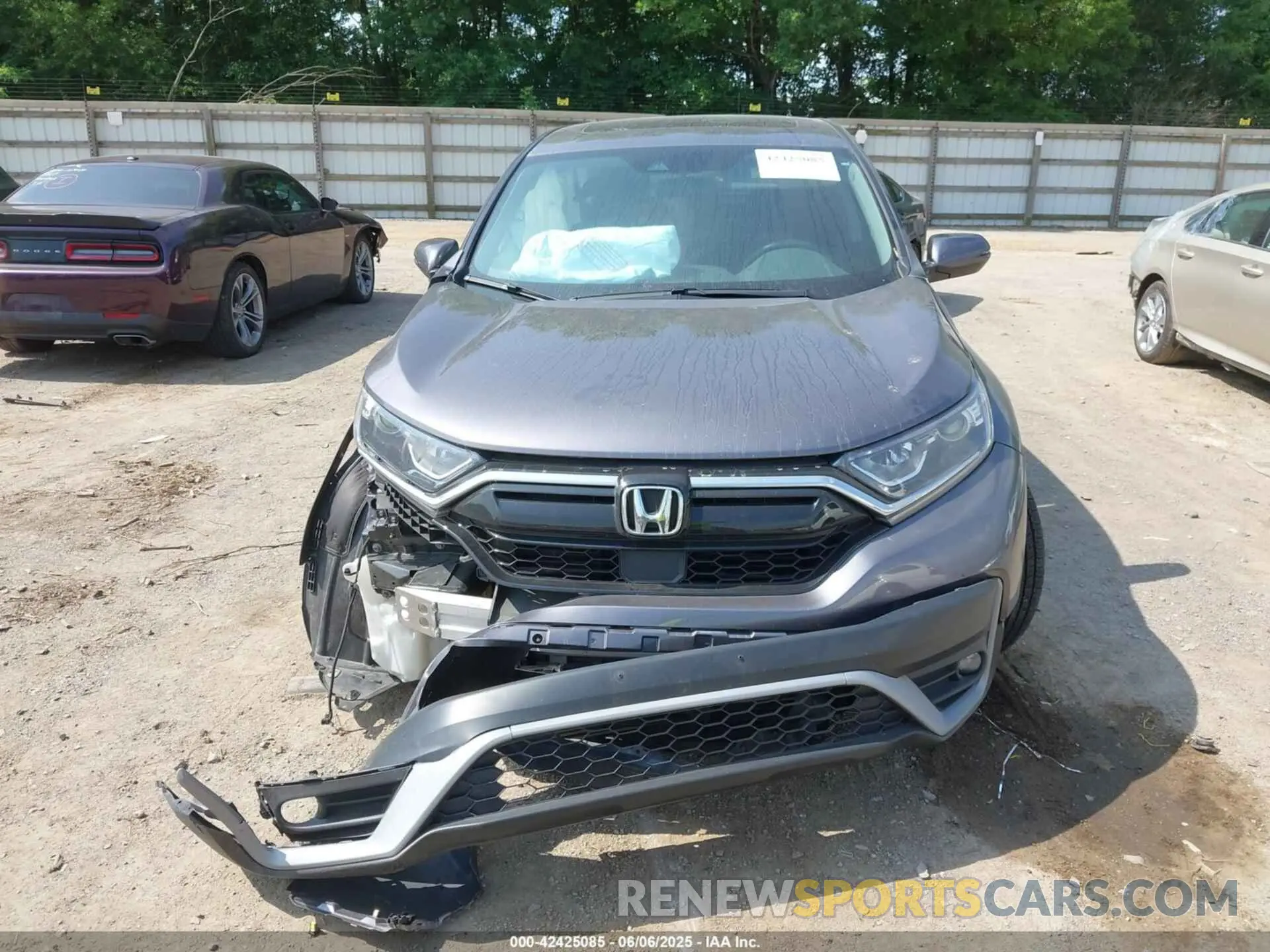 12 Photograph of a damaged car 7FARW2H52NE001309 HONDA CR-V 2022