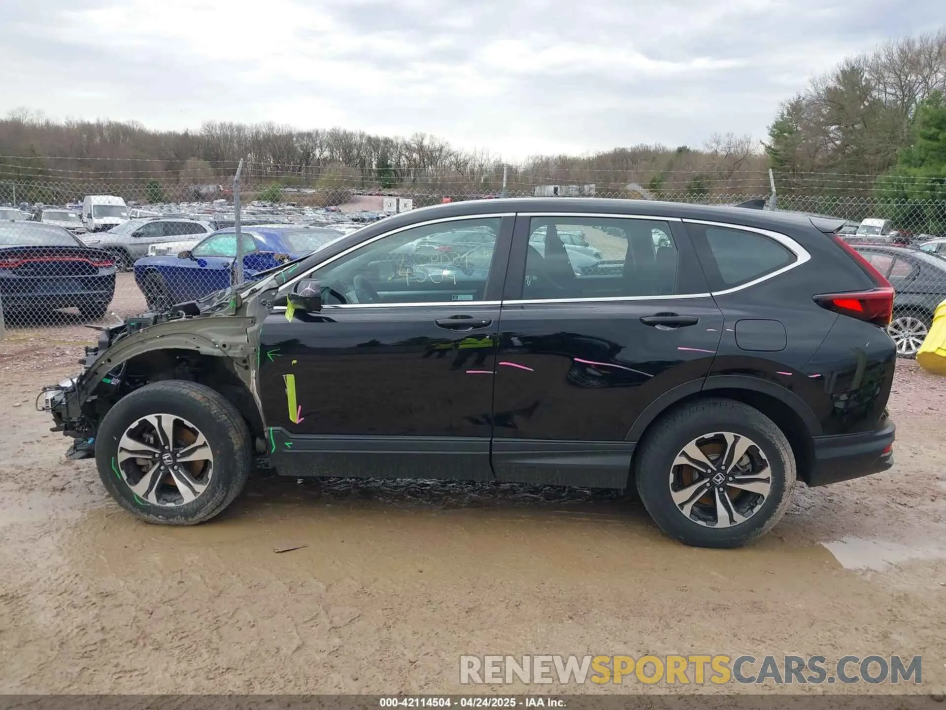 14 Photograph of a damaged car 7FARW2H79NE019274 HONDA CR-V 2022