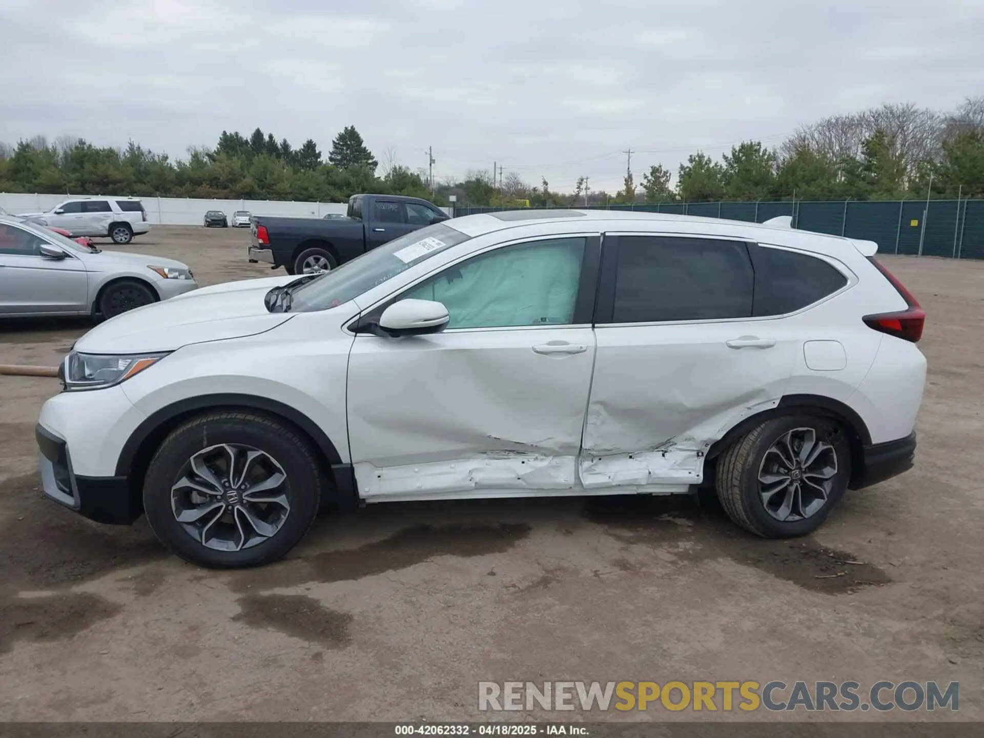 14 Photograph of a damaged car 7FARW2H83NE024124 HONDA CR-V 2022