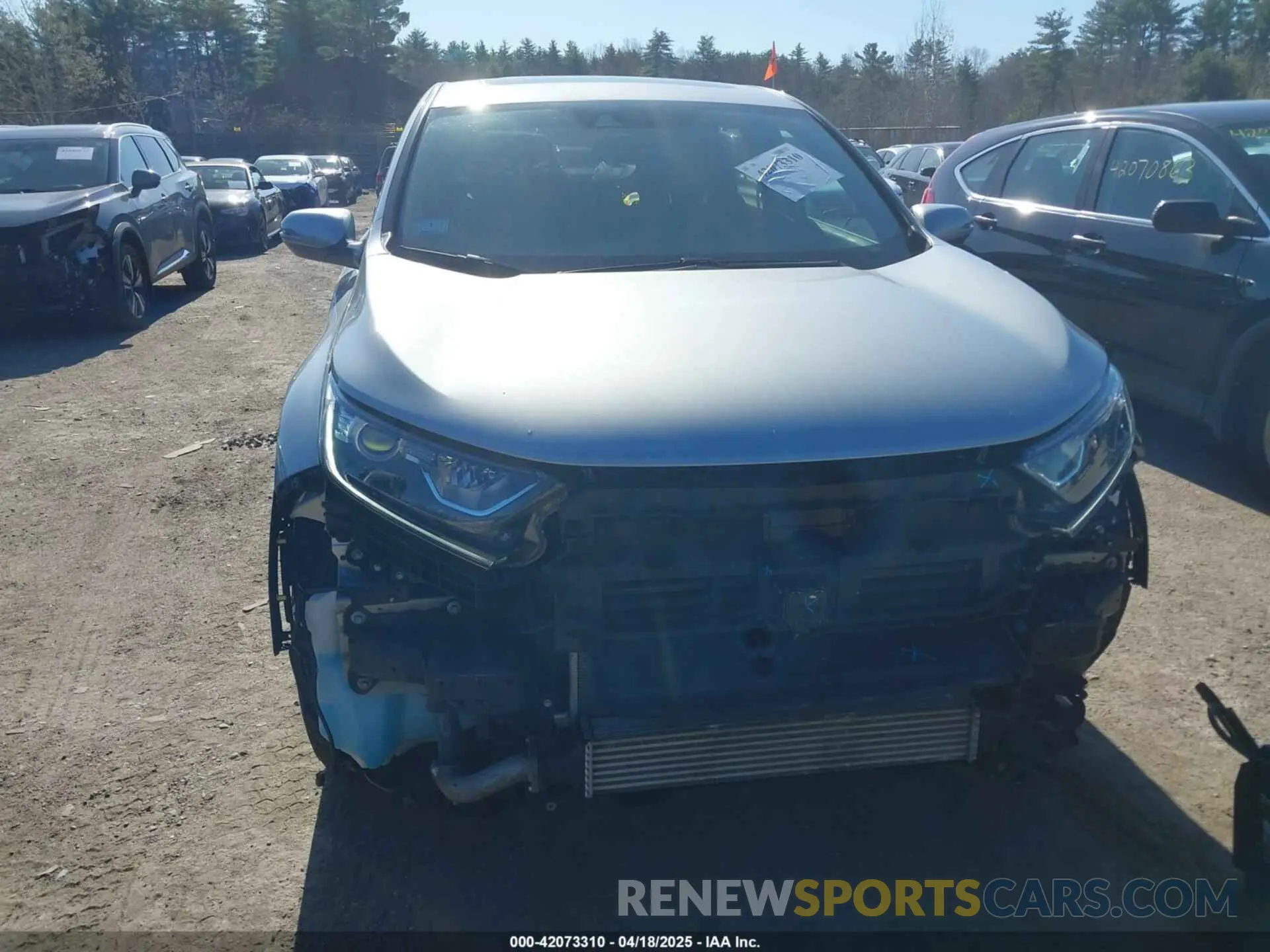 13 Photograph of a damaged car 7FARW2H85NE051048 HONDA CR-V 2022