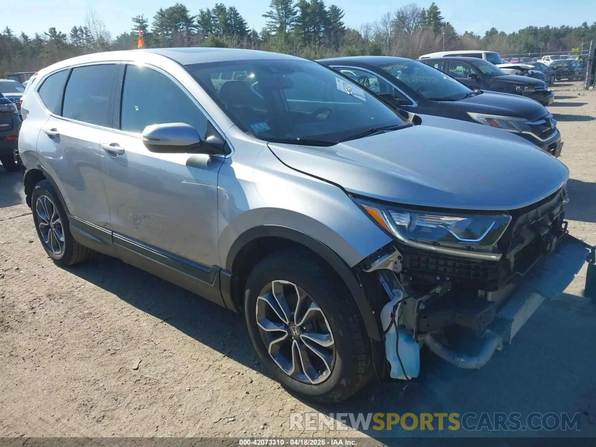 14 Photograph of a damaged car 7FARW2H85NE051048 HONDA CR-V 2022