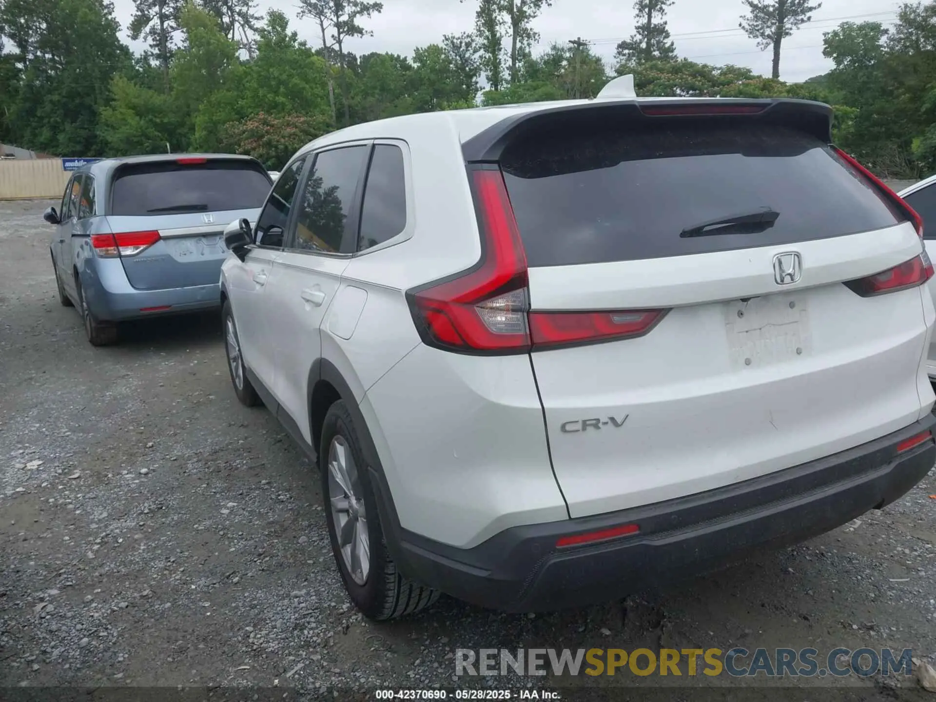 3 Photograph of a damaged car 5J6RS3H70PL008056 HONDA CR-V 2023