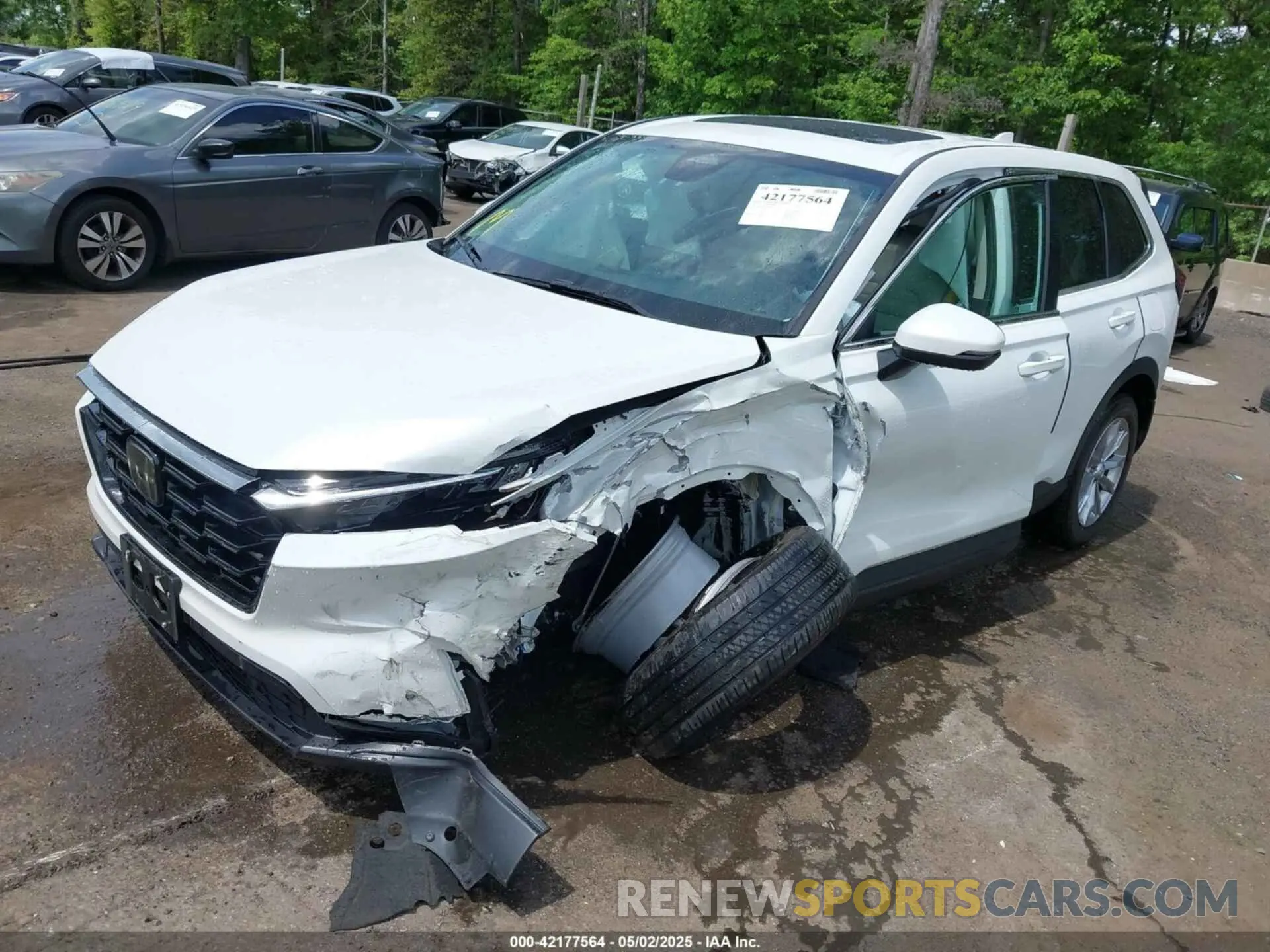 2 Photograph of a damaged car 7FARS4H72PE020132 HONDA CR-V 2023