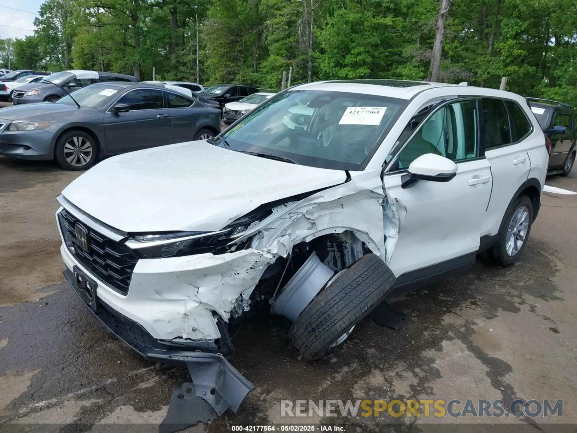 6 Photograph of a damaged car 7FARS4H72PE020132 HONDA CR-V 2023