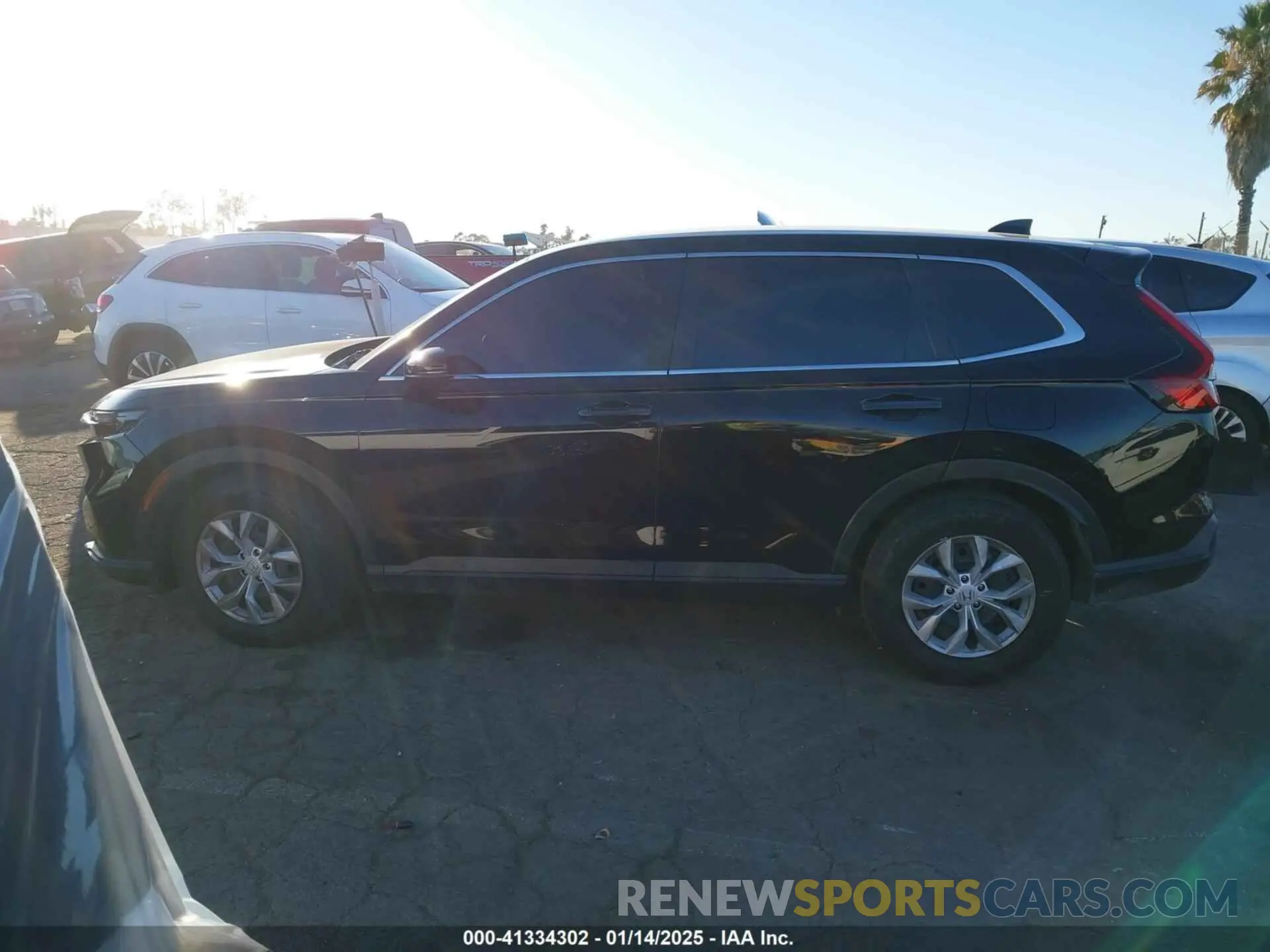 13 Photograph of a damaged car 2HKRS3H26RH319198 HONDA CR-V 2024