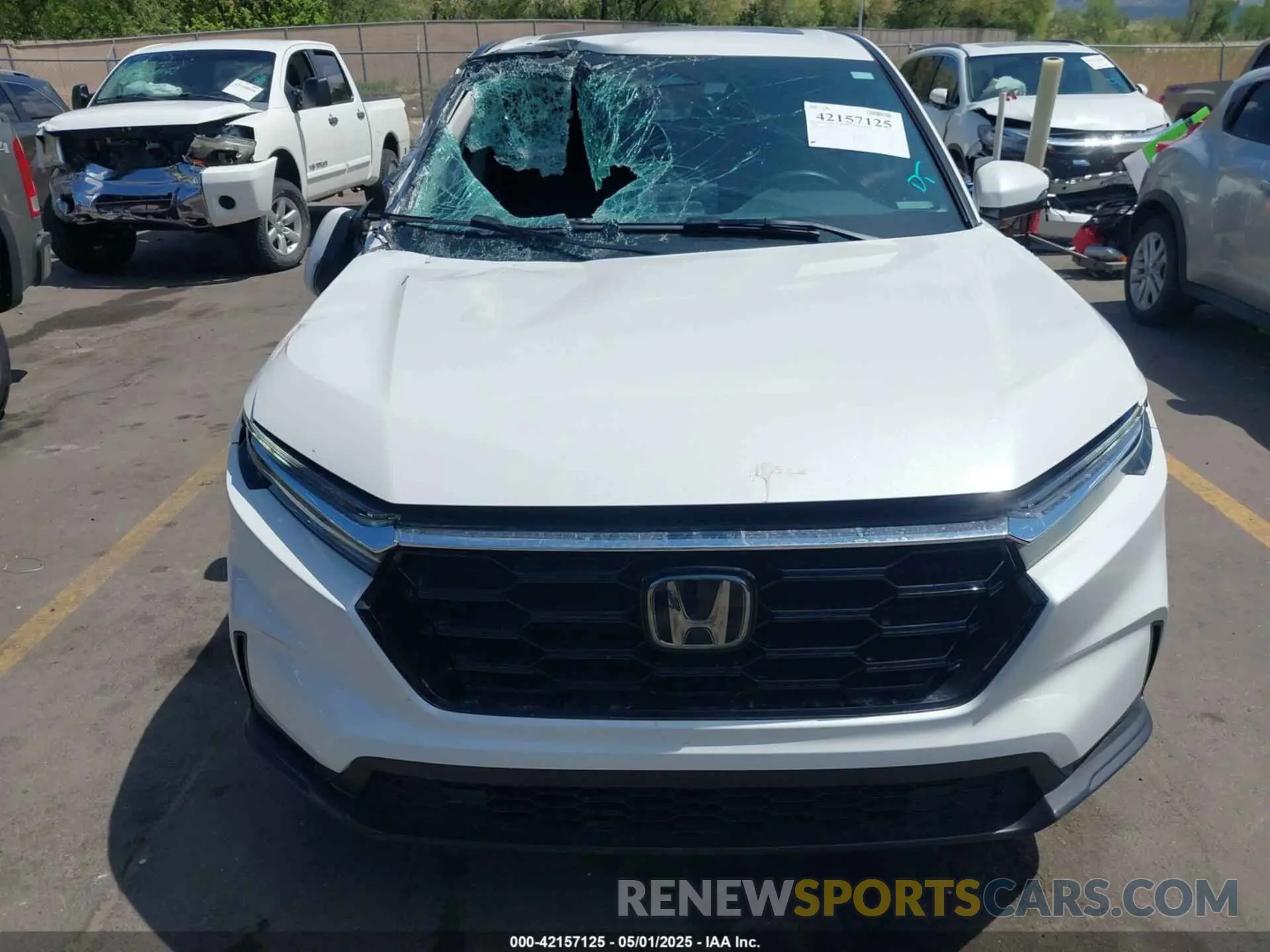 12 Photograph of a damaged car 2HKRS4H40RH442650 HONDA CR-V 2024
