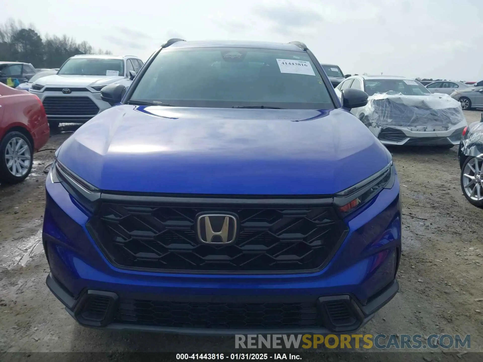 13 Photograph of a damaged car 2HKRS6H52RH804000 HONDA CR-V 2024