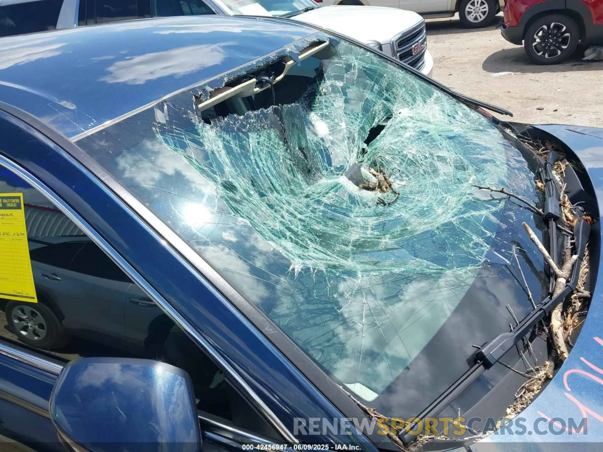 6 Photograph of a damaged car 5J6RS3H2XRL008556 HONDA CR-V 2024