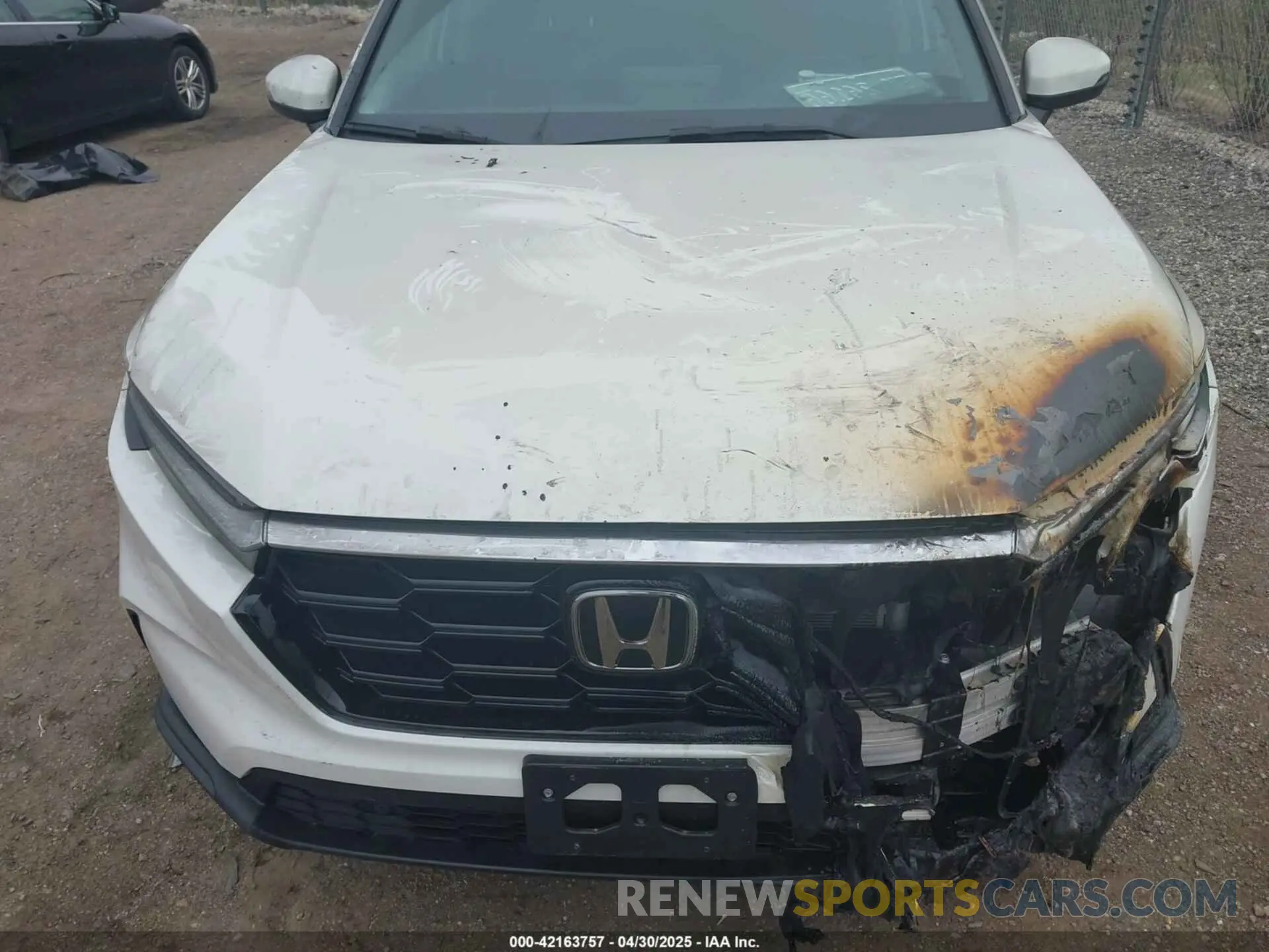10 Photograph of a damaged car 5J6RS4H70RL004193 HONDA CR-V 2024