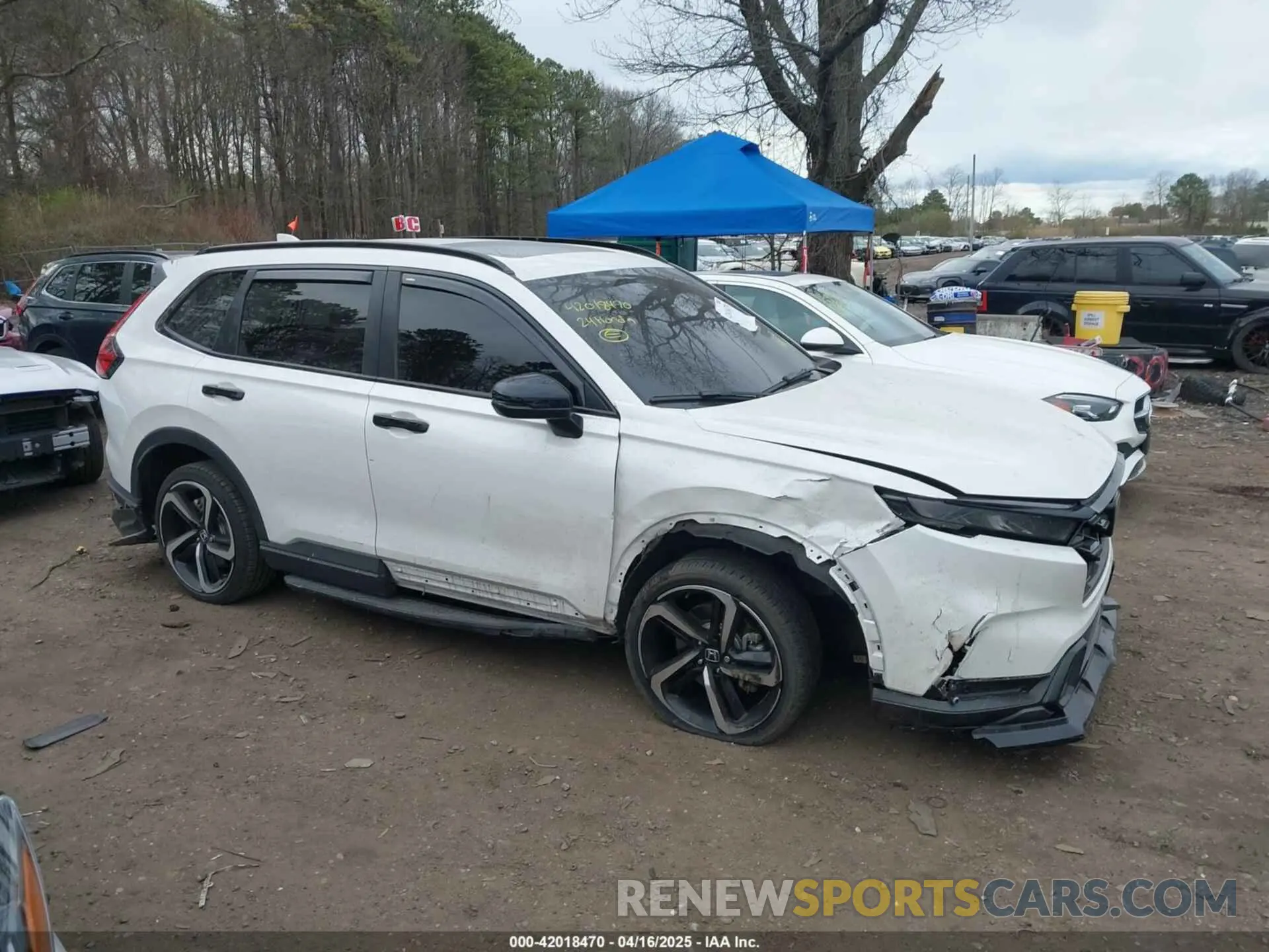 13 Photograph of a damaged car 5J6RS6H81RL027440 HONDA CR-V 2024