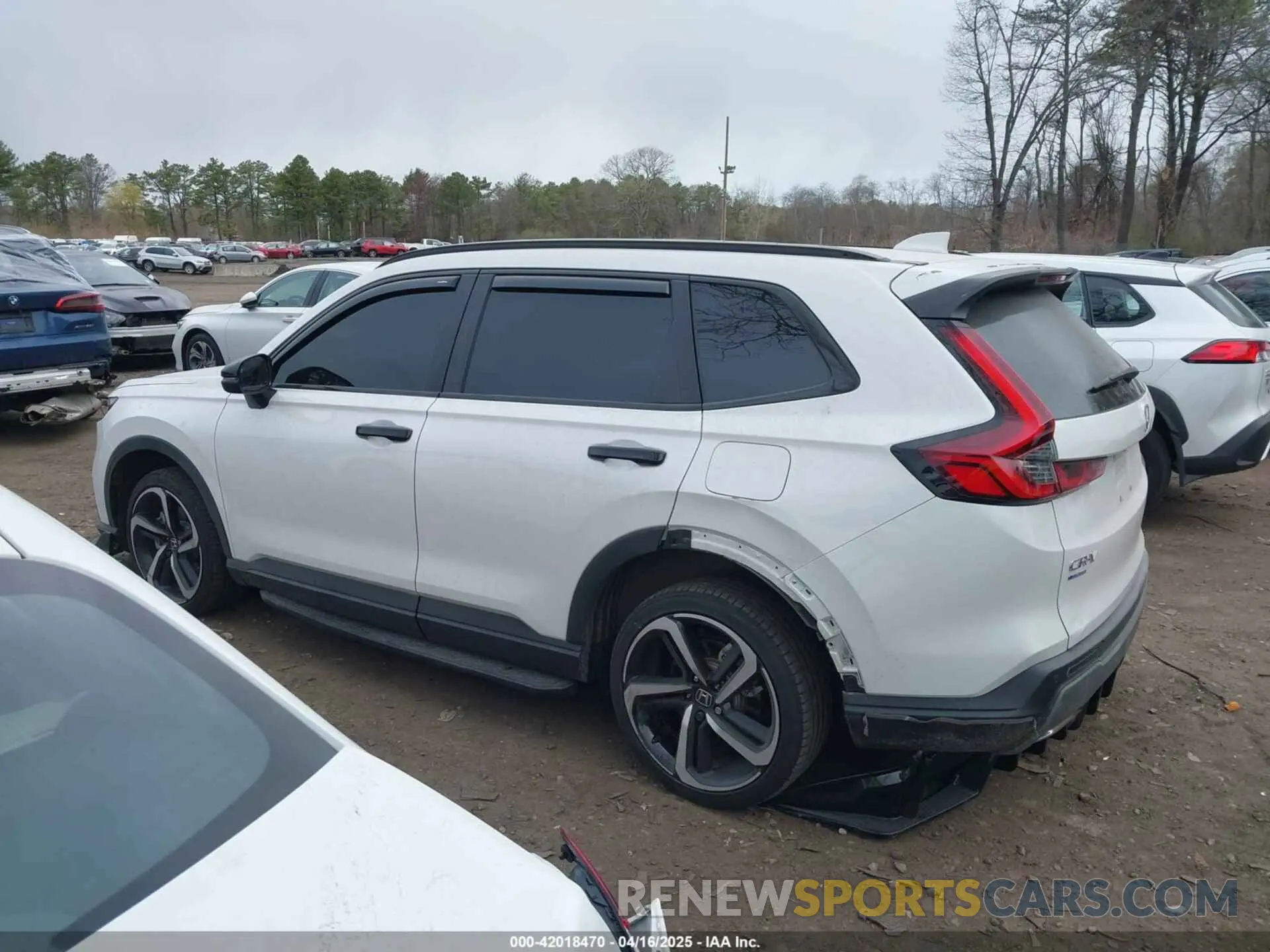 14 Photograph of a damaged car 5J6RS6H81RL027440 HONDA CR-V 2024