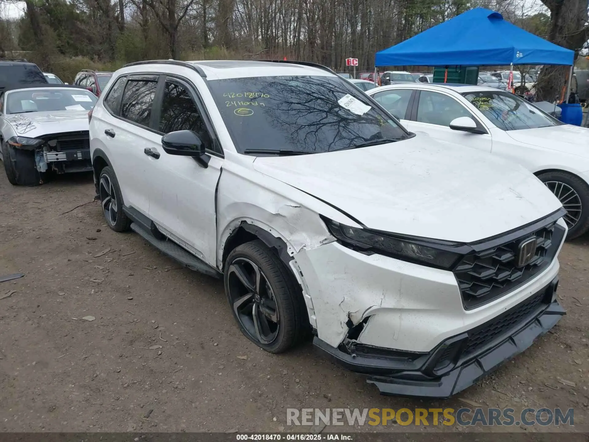 6 Photograph of a damaged car 5J6RS6H81RL027440 HONDA CR-V 2024