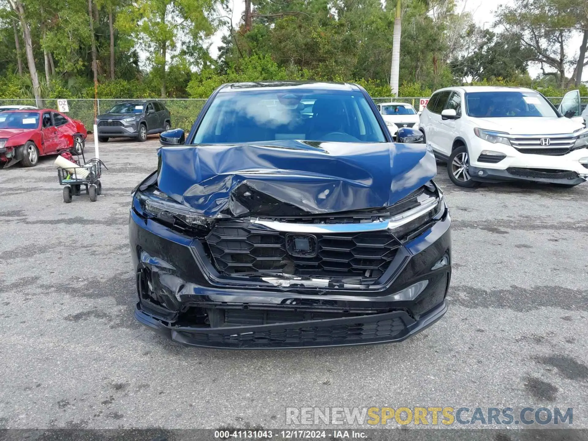 13 Photograph of a damaged car 7FARS3H22RE002215 HONDA CR-V 2024