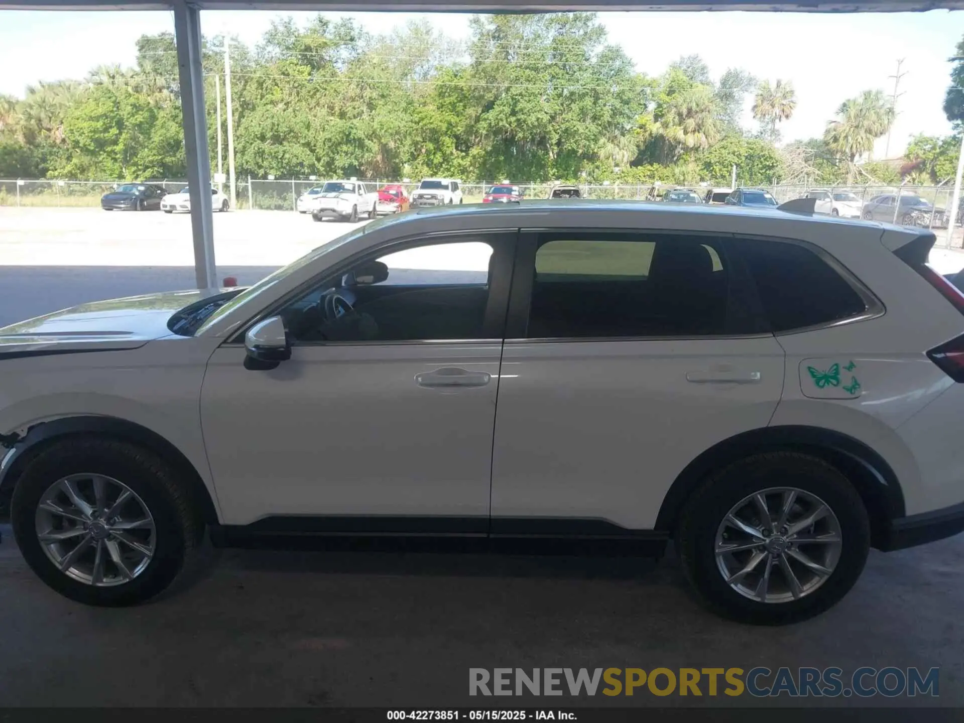14 Photograph of a damaged car 5J6RS3H48SL007428 HONDA CR-V 2025