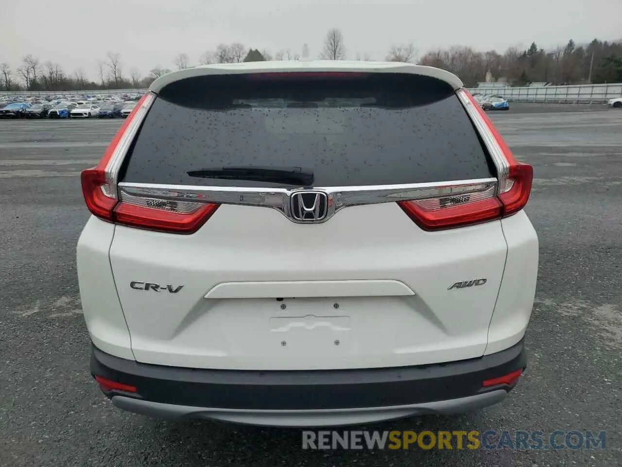 6 Photograph of a damaged car 2HKRW2H88KH672468 HONDA CRV 2019