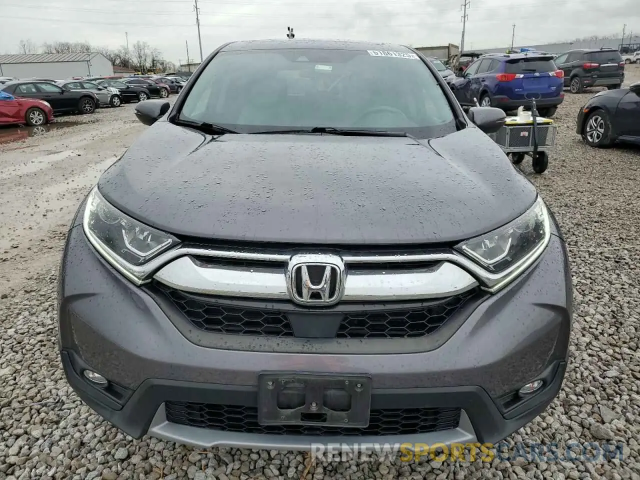 5 Photograph of a damaged car 2HKRW2H89KH637003 HONDA CRV 2019