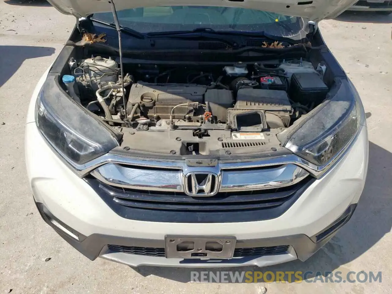 11 Photograph of a damaged car 2HKRW5H33KH416440 HONDA CRV 2019