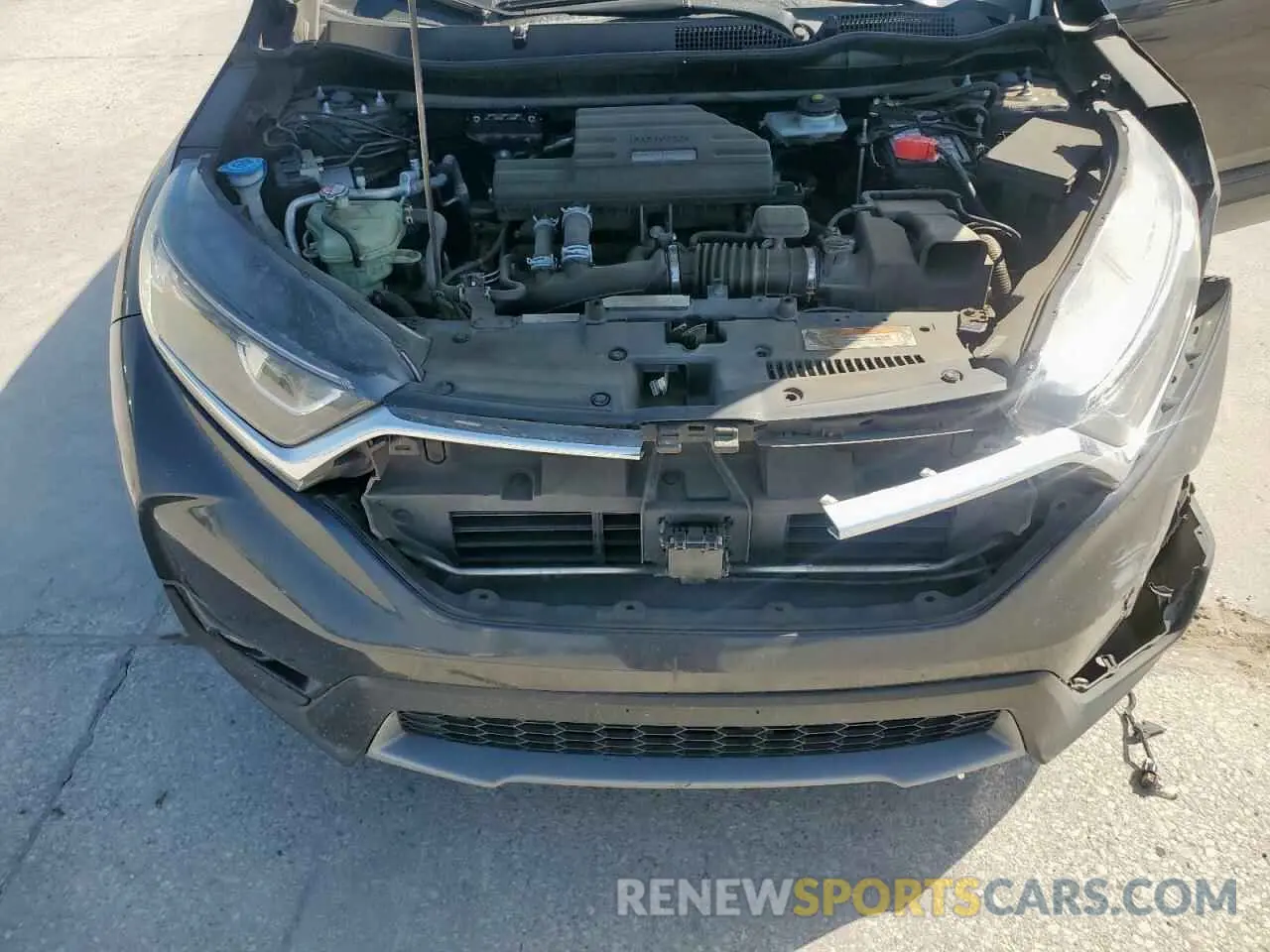 13 Photograph of a damaged car 5J6RW1H86KA006480 HONDA CRV 2019