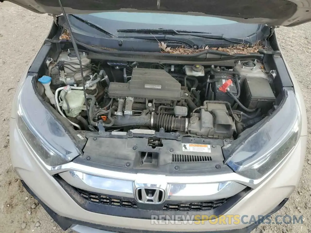 14 Photograph of a damaged car 5J6RW2H50KL009567 HONDA CRV 2019