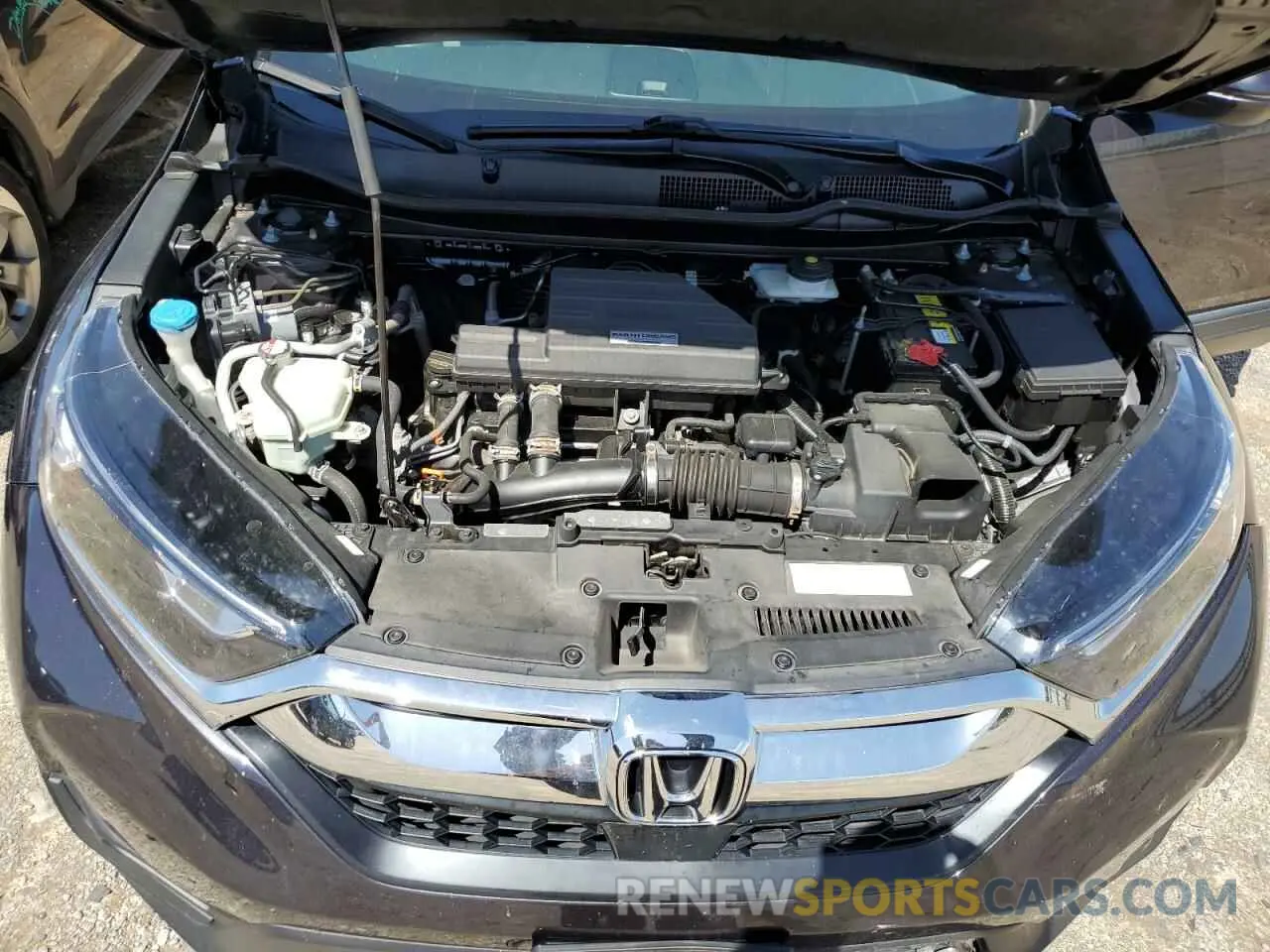 14 Photograph of a damaged car 5J6RW2H57KL025023 HONDA CRV 2019