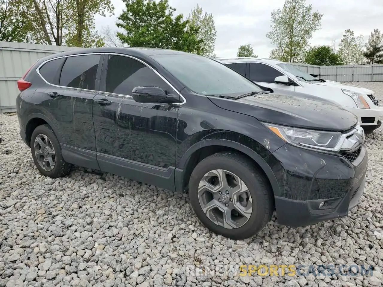 4 Photograph of a damaged car 5J6RW2H82KA021631 HONDA CRV 2019