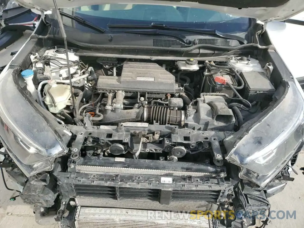 12 Photograph of a damaged car 5J6RW2H84KA019427 HONDA CRV 2019