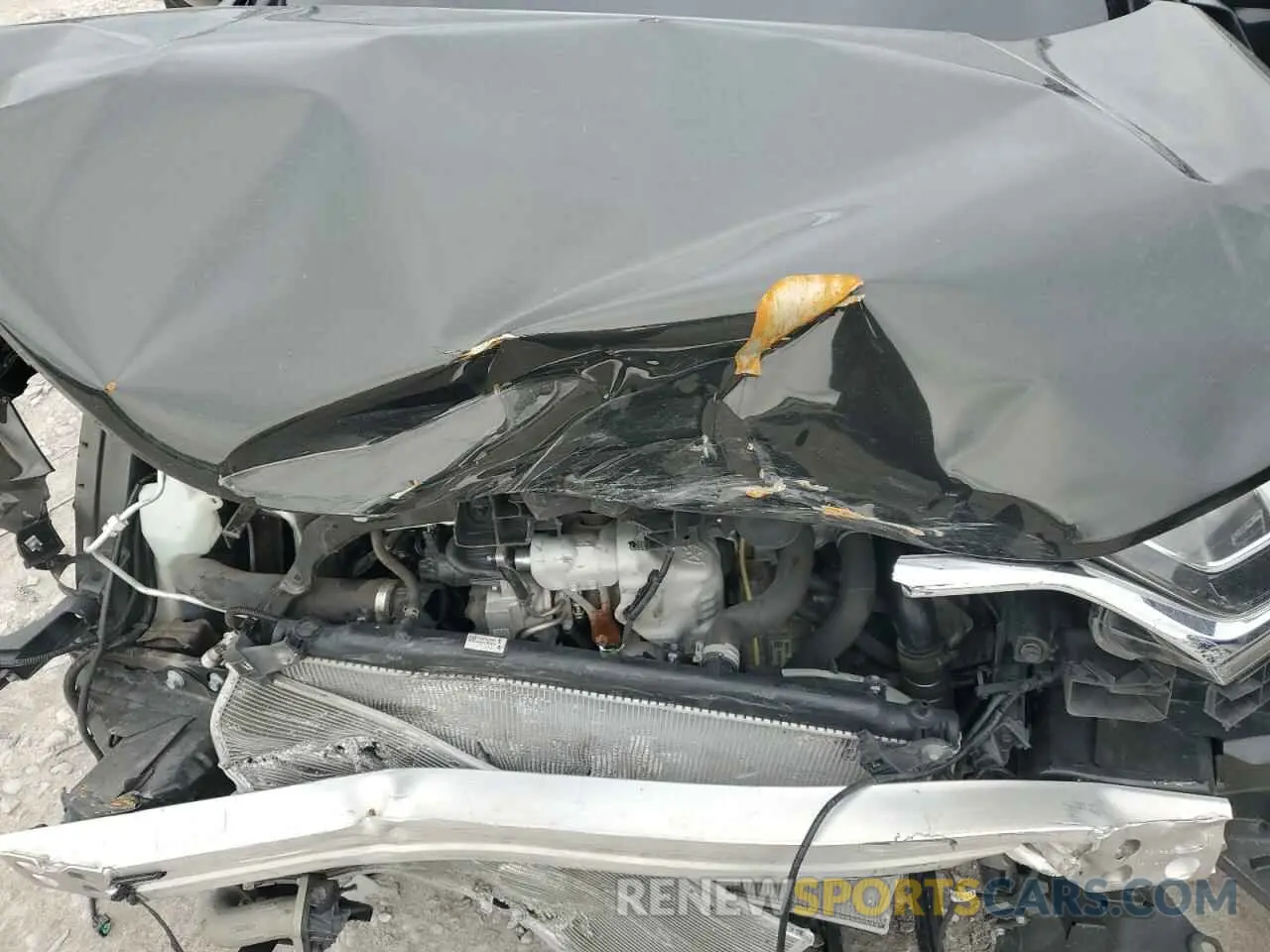 11 Photograph of a damaged car 5J6RW2H8XKL016469 HONDA CRV 2019