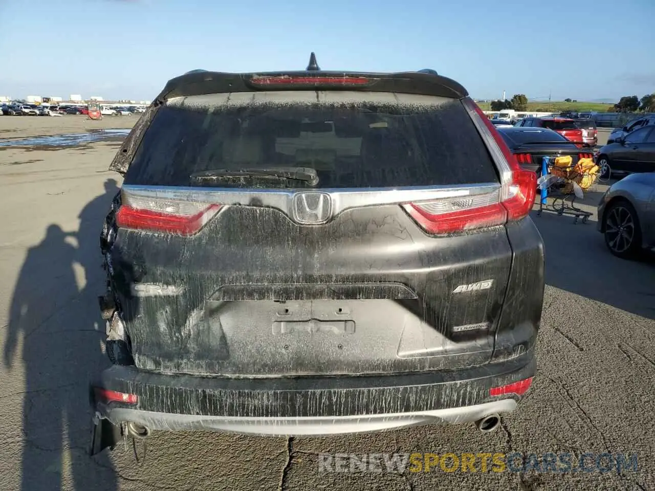 6 Photograph of a damaged car 5J6RW2H92KL003692 HONDA CRV 2019