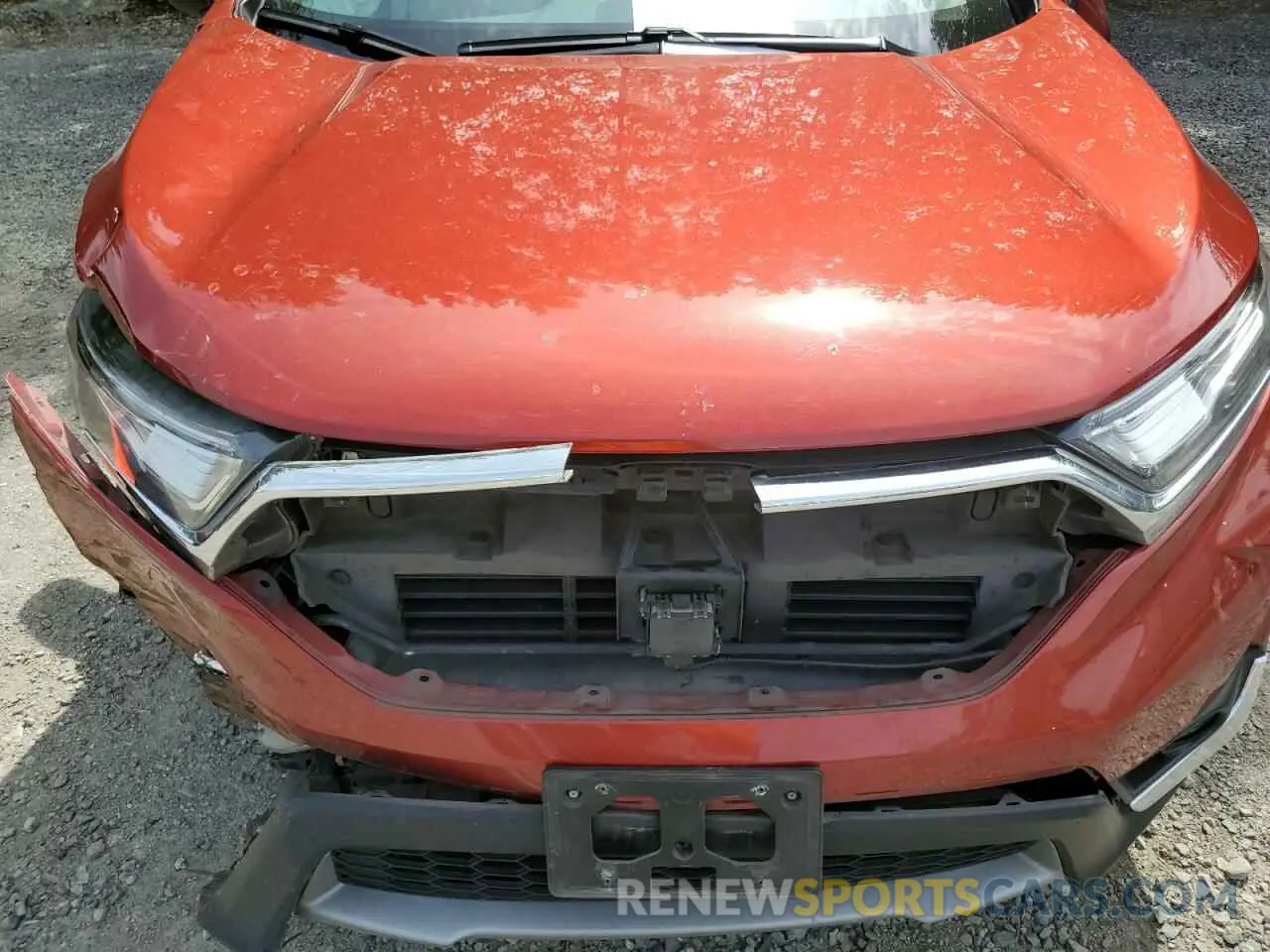 12 Photograph of a damaged car 5J6RW2H94KL000096 HONDA CRV 2019
