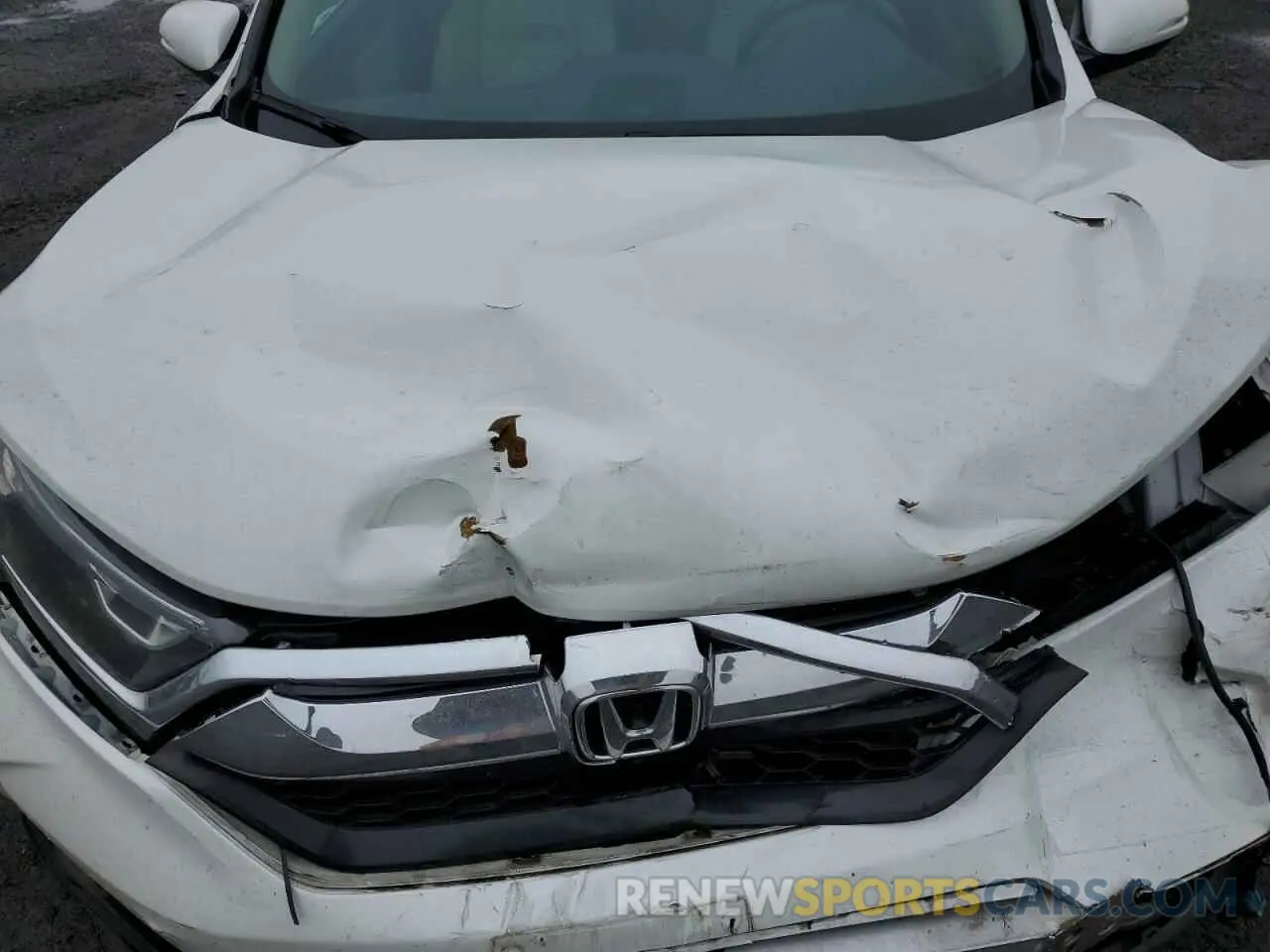 12 Photograph of a damaged car 7FARW2H55KE032002 HONDA CRV 2019
