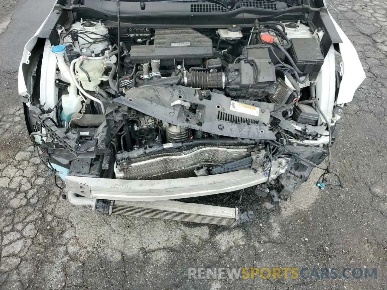 14 Photograph of a damaged car 7FARW2H87KE029550 HONDA CRV 2019