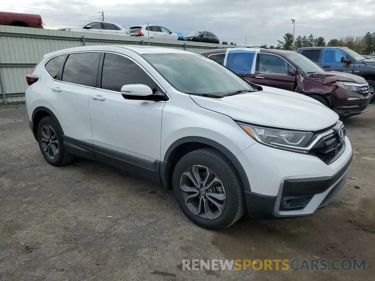 4 Photograph of a damaged car 2HKRW2H56LH698087 HONDA CRV 2020