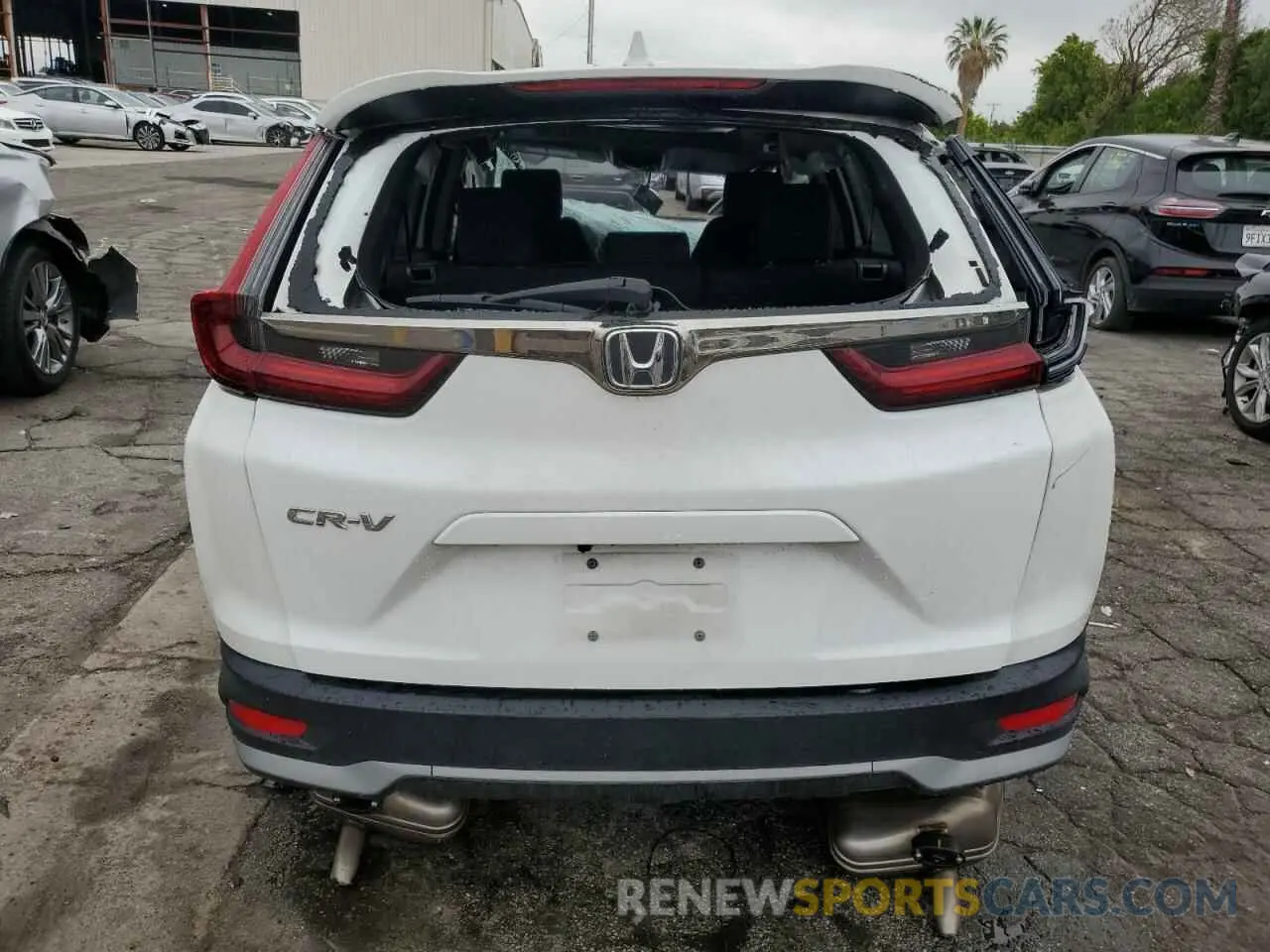 6 Photograph of a damaged car 5J6RW1H53LA008050 HONDA CRV 2020