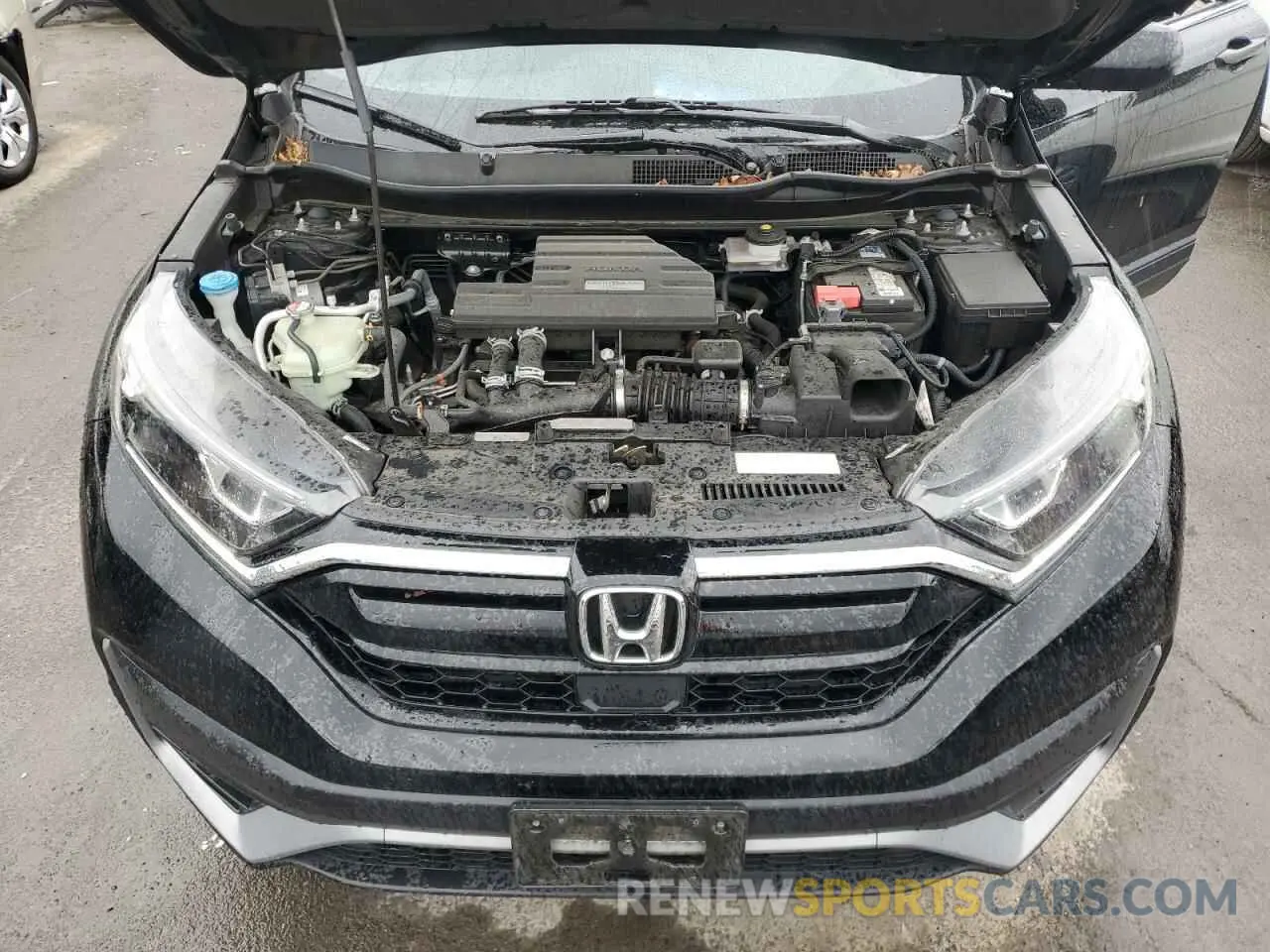 11 Photograph of a damaged car 5J6RW2H27LL024073 HONDA CRV 2020