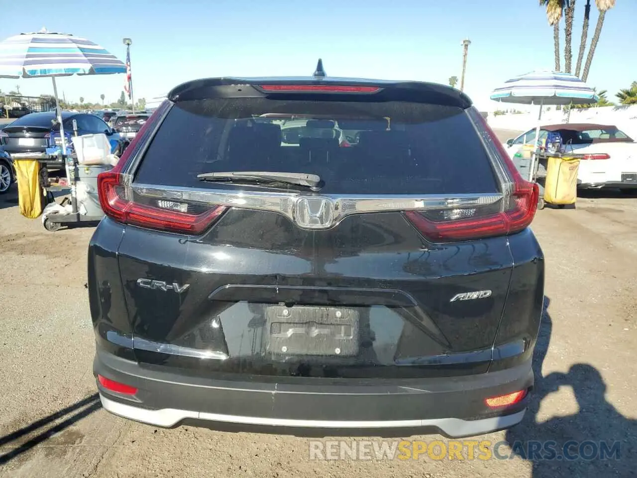 6 Photograph of a damaged car 5J6RW2H59LA015543 HONDA CRV 2020