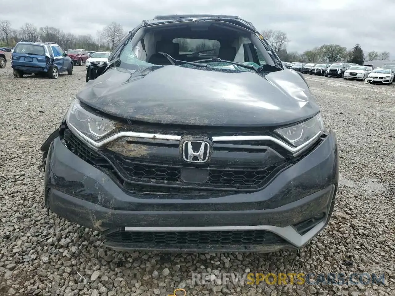5 Photograph of a damaged car 5J6RW2H81LL046557 HONDA CRV 2020