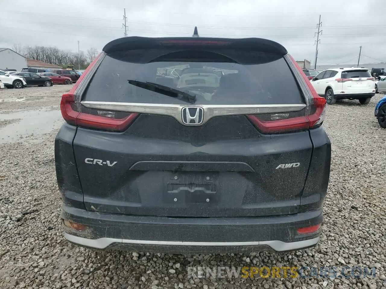 6 Photograph of a damaged car 5J6RW2H81LL046557 HONDA CRV 2020
