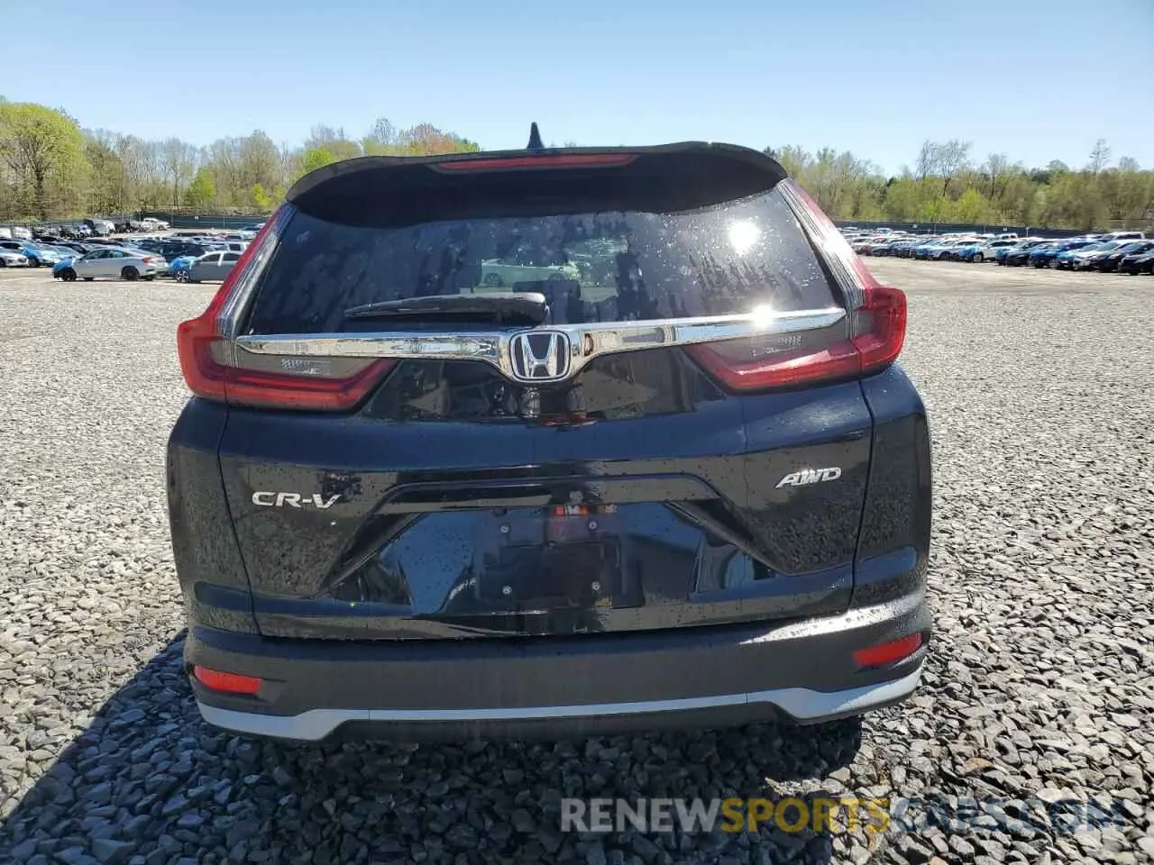 6 Photograph of a damaged car 5J6RW2H8XLL019597 HONDA CRV 2020
