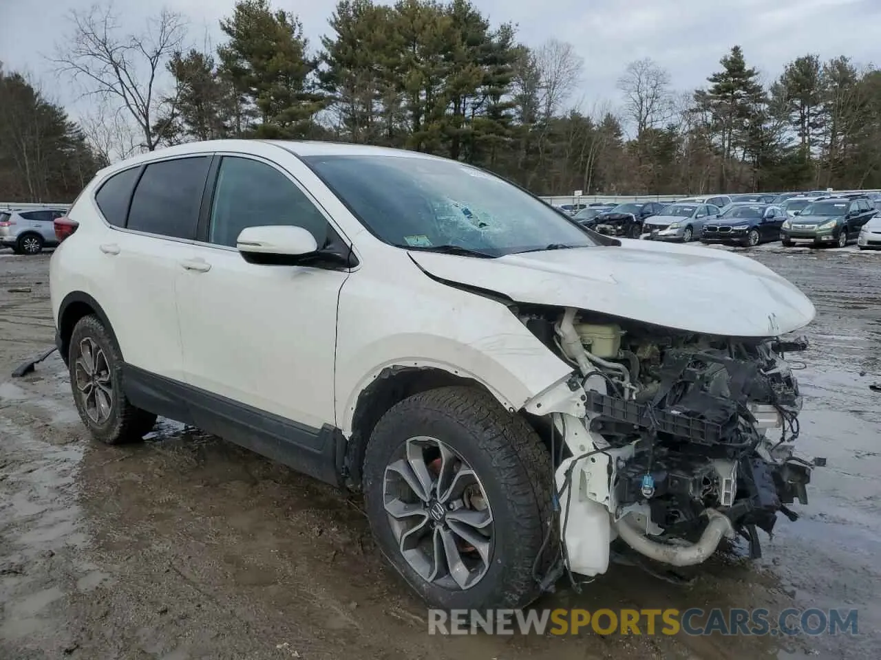 4 Photograph of a damaged car 2HKRW2H84MH616790 HONDA CRV 2021