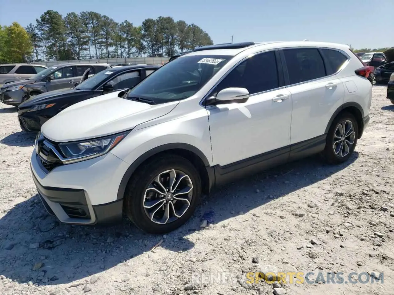 1 Photograph of a damaged car 5J6RW1H58MA008031 HONDA CRV 2021