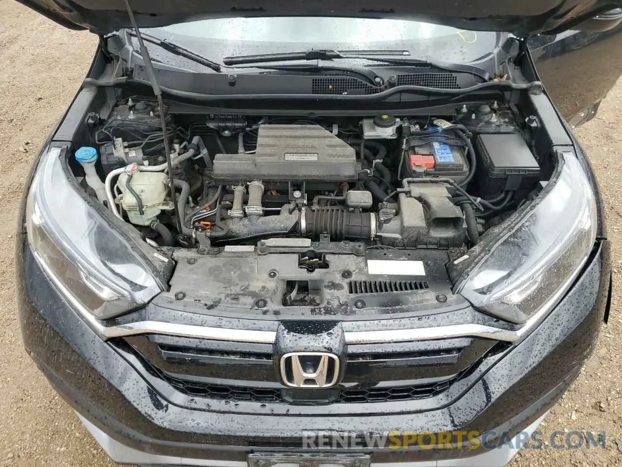 11 Photograph of a damaged car 5J6RW2H8XML007077 HONDA CRV 2021