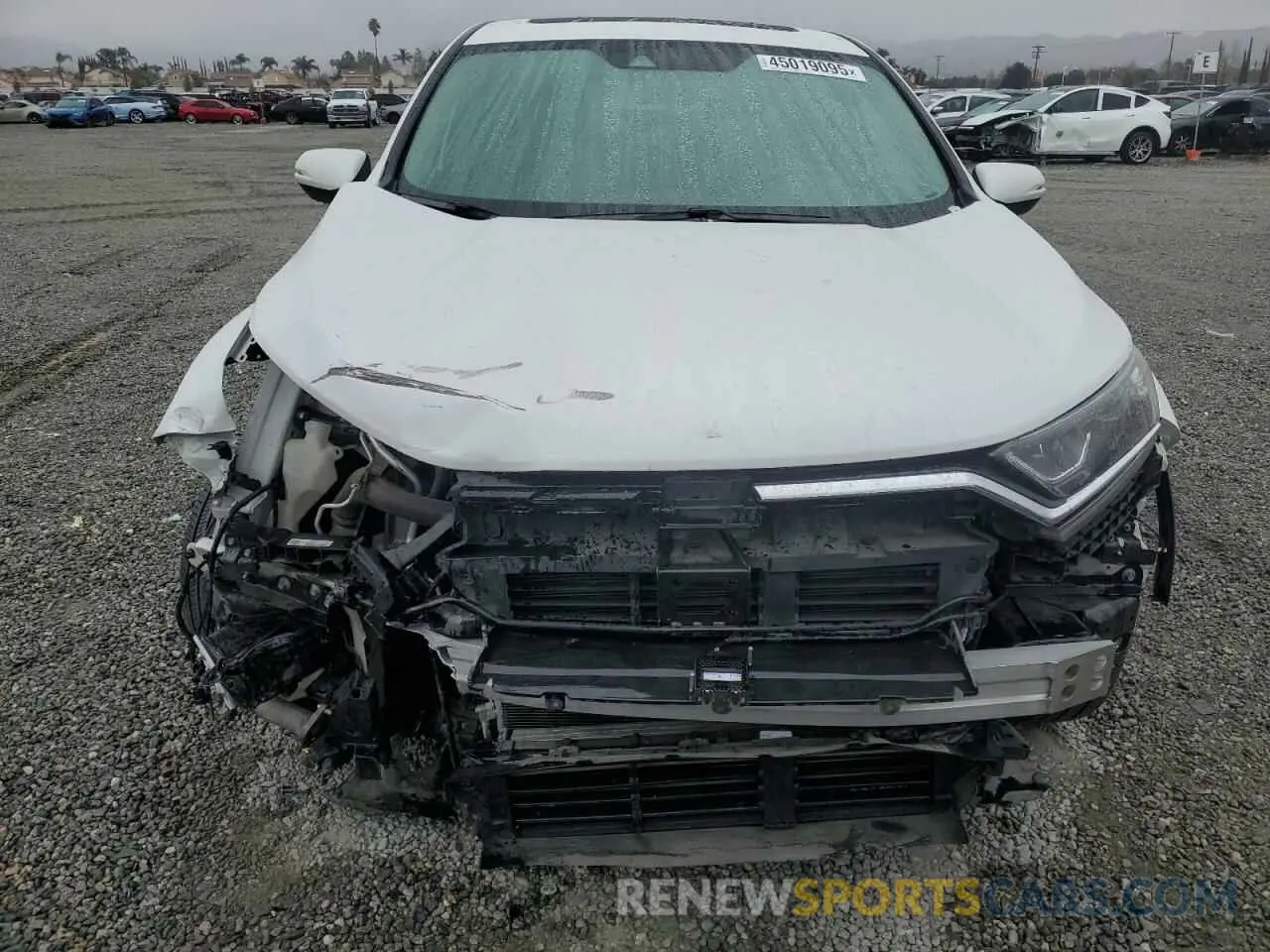 5 Photograph of a damaged car 5J6RW1H56NA008515 HONDA CRV 2022