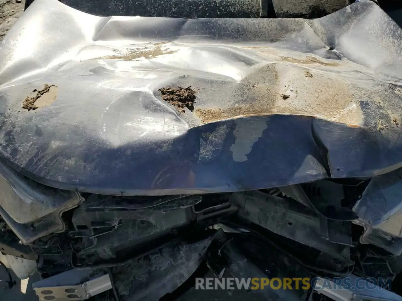 11 Photograph of a damaged car 5J6RW1H81NA002308 HONDA CRV 2022
