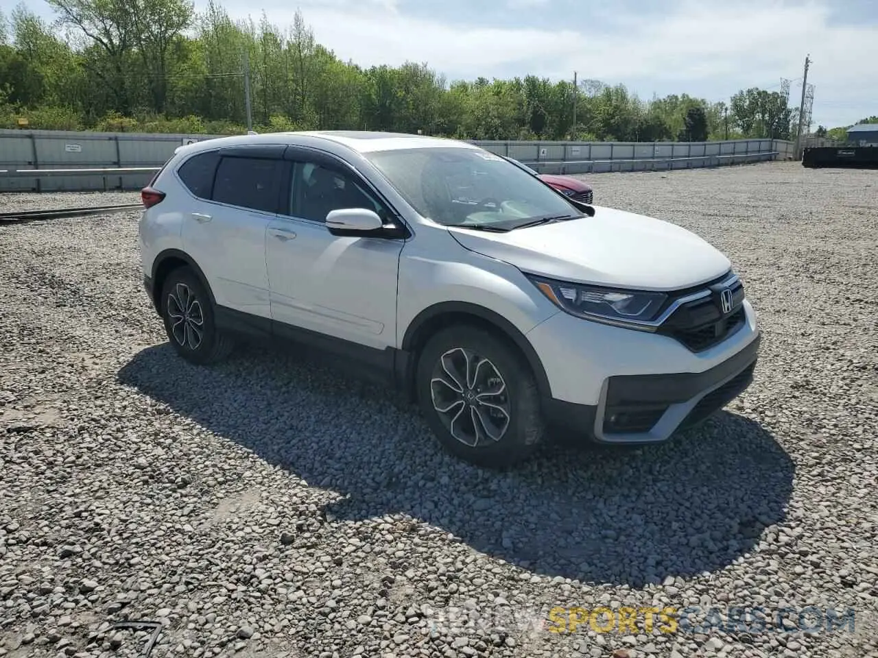4 Photograph of a damaged car 5J6RW1H87NA008582 HONDA CRV 2022